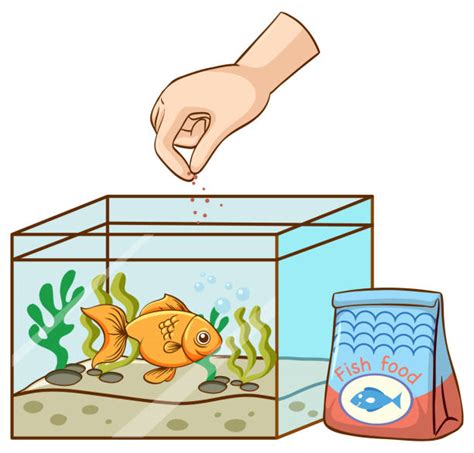 1,500+ Feeding Pet Fish Stock Illustrations, Royalty-Free Vector ...