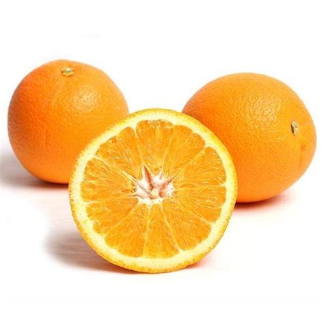 Navel Oranges — Melissas Produce