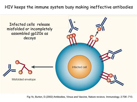 PPT - What is a neutralizing antibody? (NAb) PowerPoint Presentation ...