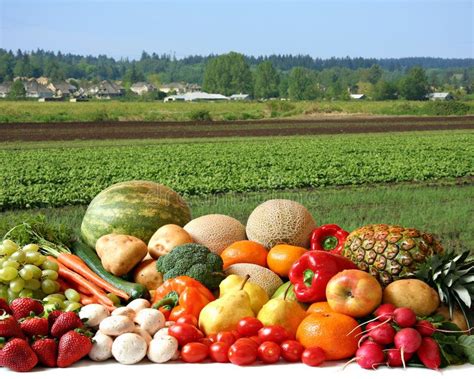 Farmer's crop. Large variety of fresh fruit and vegetables, water ...