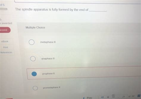 Solved of 5 The spindle apparatus is fully formed by the end | Chegg.com