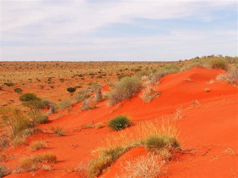 Munga-Thirri (Simpson Desert) National Park (Birdsville): UPDATED 2020 ...