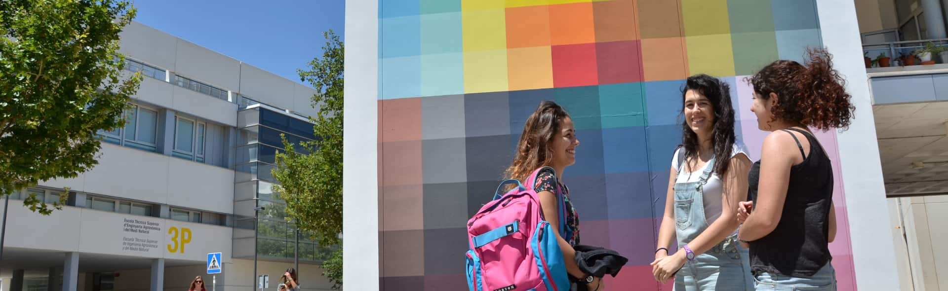 Estudiantes conversan en un campus de la UPV