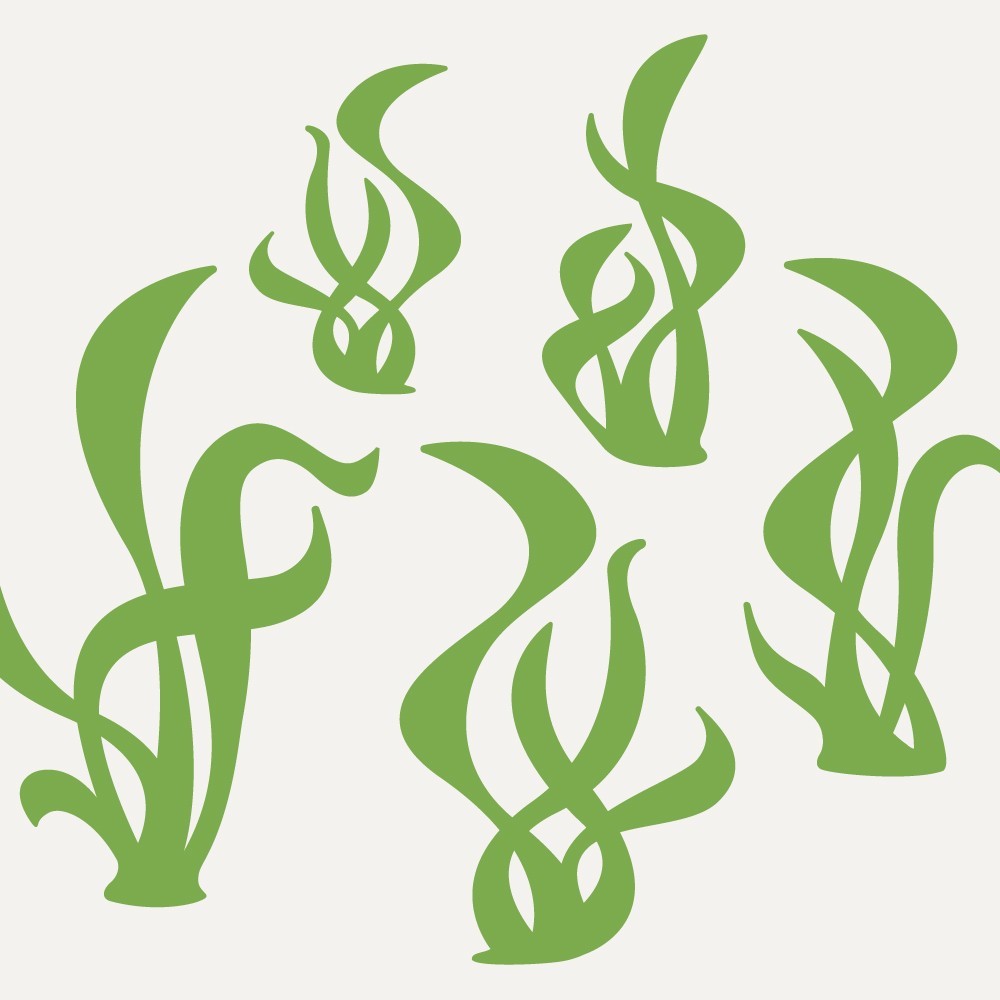 Seaweed Clip Art - Tumundografico