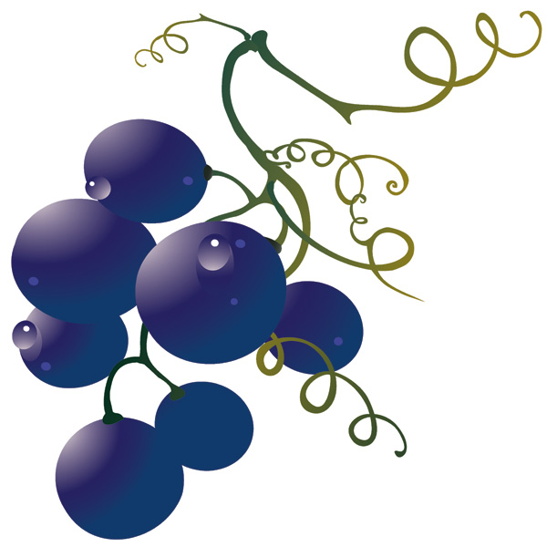 Wine and Grape Vectors Free Vector / 4Vector