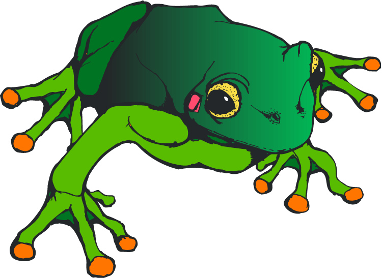 Tree Frog Clip Art