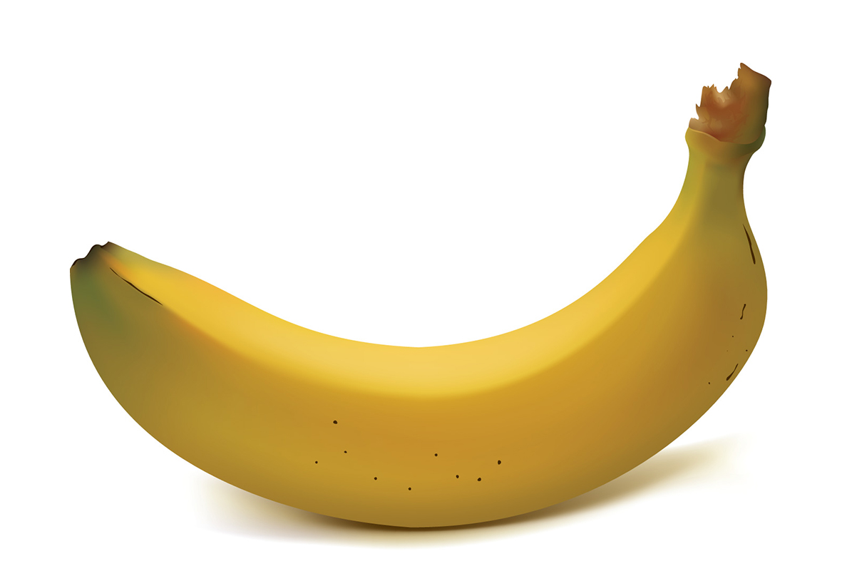 Banana Vector - ClipArt Best