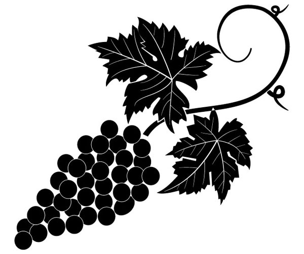 Grapevine Vector Image | Free Vector Graphics | Vector Art Designs