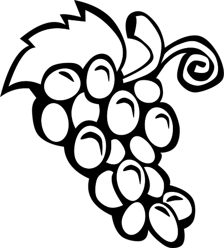 Grapes vector drawing | Public domain vectors