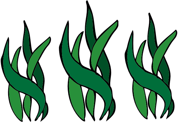 Seaweed clip art