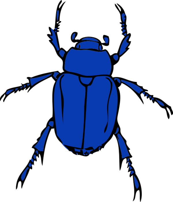 Bug clip art free clipart - Cliparting.com