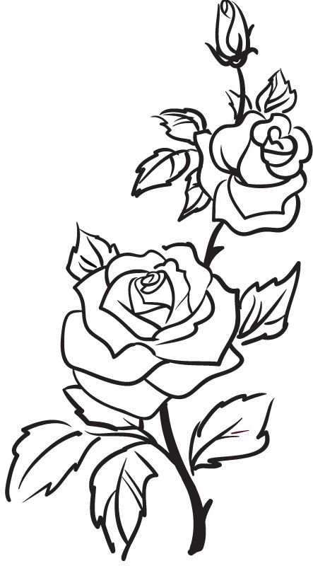 Rose Outline | Tattoos, Rose ...