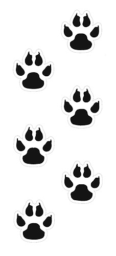 Cat Paws Clipart