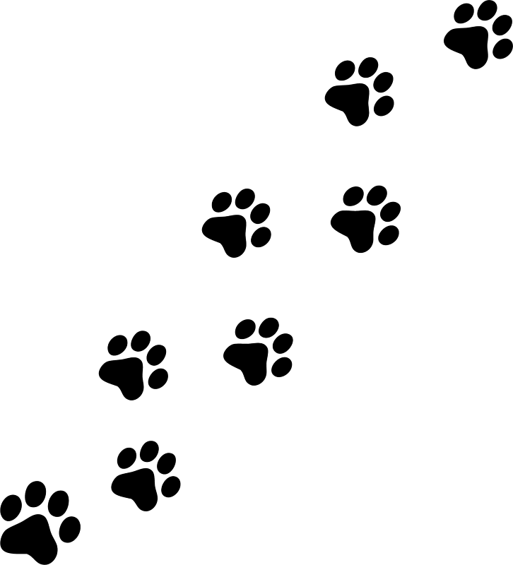 Cat Paw Prints Clip Art - Tumundografico