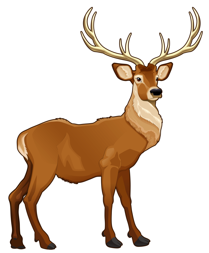 Best Reindeer Clipart #22127 - Clipartion.com