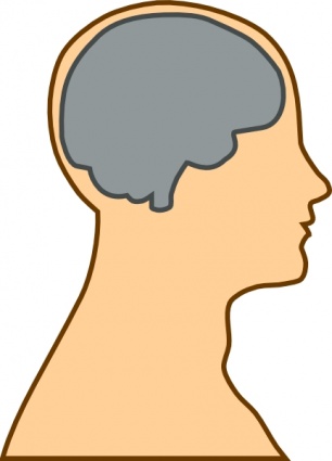 Free Brain Clipart