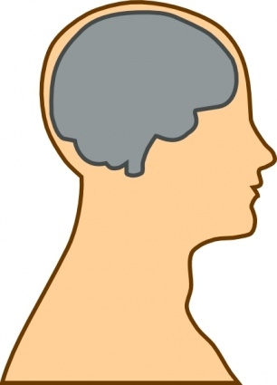 Brain Outline Clipart