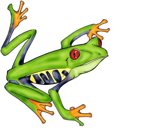 Tree Frog Clipart