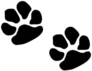 Cat Paw Print Clip Art - Tumundografico