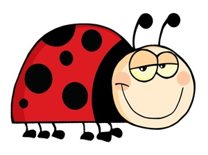 Lady Bug Clip Art - ClipArt Best