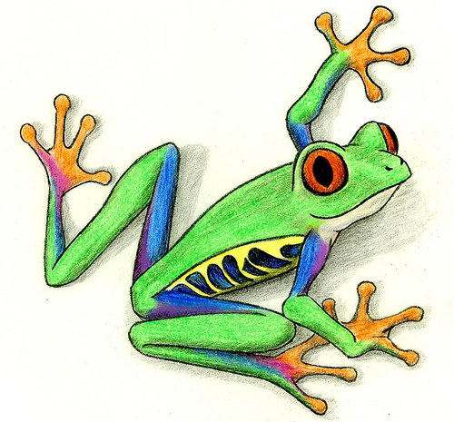 Red Eye Tree Frog Tattoo Designs | Fresh 2017 Tattoos Ideas