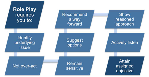 Role play exercise requirements