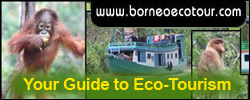 borneoecotour.com