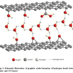 Fig. 3. Schematic illustration of graphite oxide formation of hydrogen bonds between water and GO layers