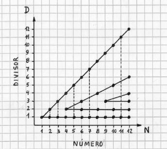 Nmeros Primos - El diagrama nmero divisor