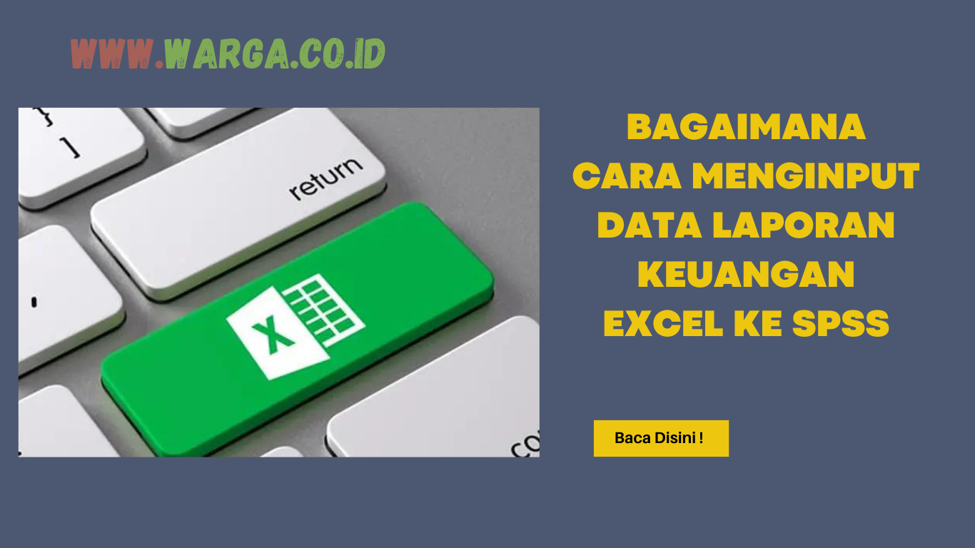 BAGAIMANA CARA MENGINPUT DATA LAPORAN KEUANGAN EXCEL KE SPSS