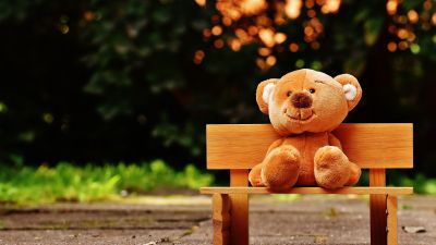 Teddy bear, Park bench, Soft toy, Wooden bench, Evening, Cute toy, 5K