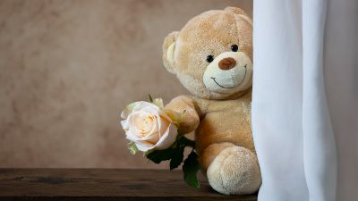 Teddy bear, Rose, Cute toy, Gift, Valentine's Day, 5K