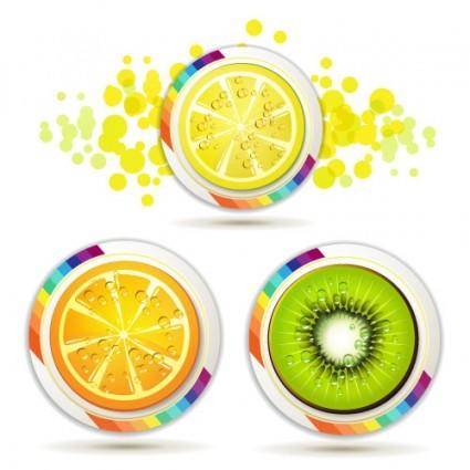 Delicious fruit slices 04 vector