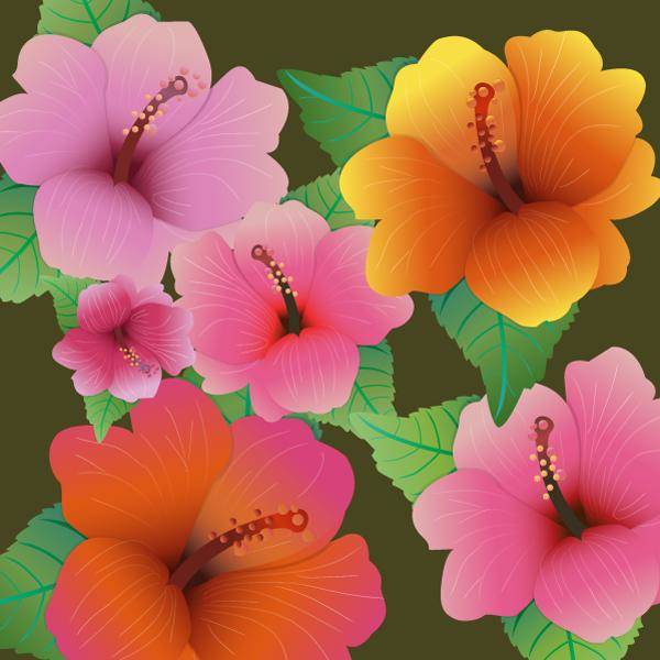 Flower Vector - Hibiscus Flowers