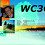 wc3q blog's avatar