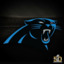 panthers704 blog's avatar