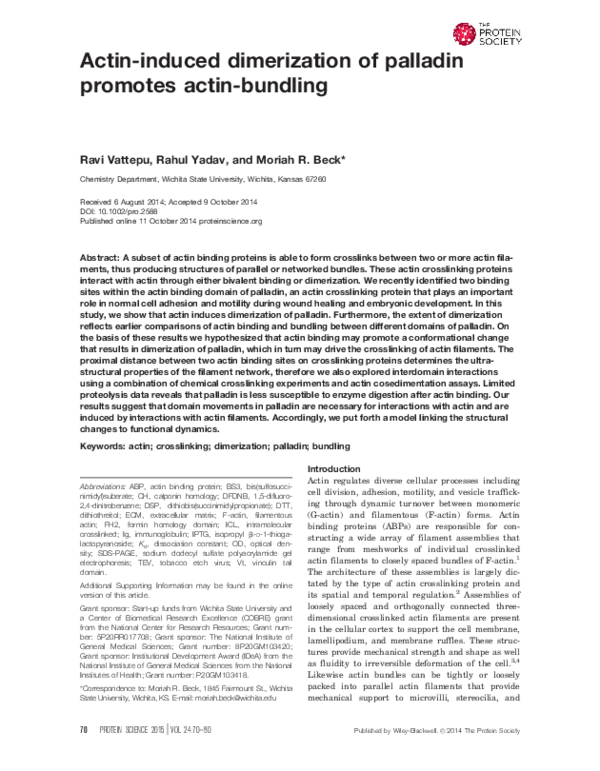 First page of “Actin-induced dimerization of palladin promotes actin-bundling”