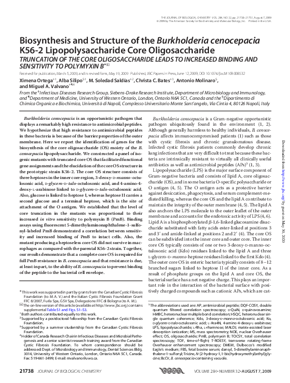 First page of “Biosynthesis and Structure of the Burkholderia cenocepacia K56-2 Lipopolysaccharide Core Oligosaccharide”