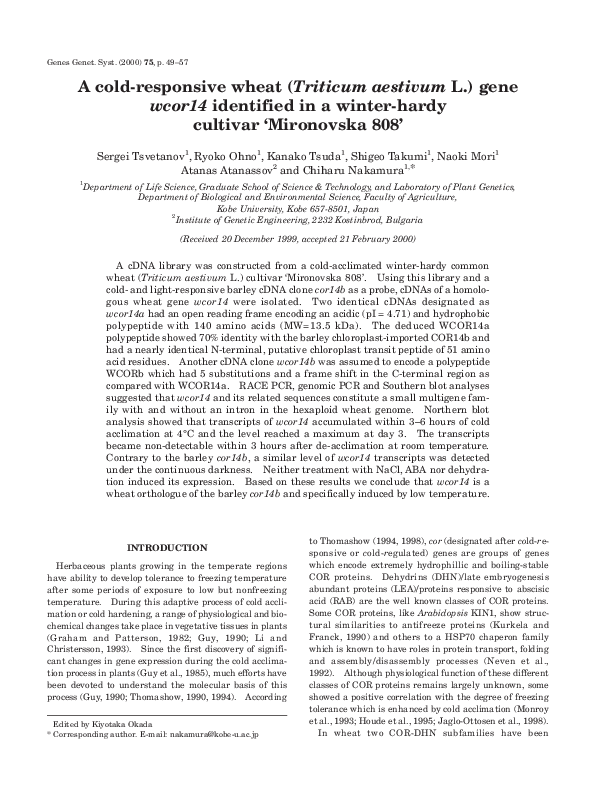 First page of “A cold-responsive wheat (Triticum aestivum L.) gene wcor14 identified in a winter-hardy cultivar 'Mironovska 808”