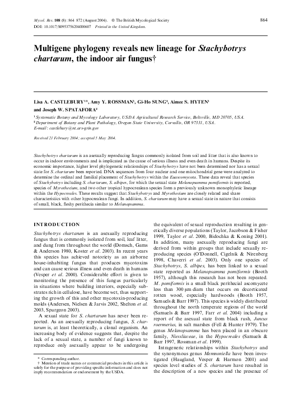 First page of “Multigene phylogeny reveals new lineage for Stachybotrys chartarum, the indoor air fungus”