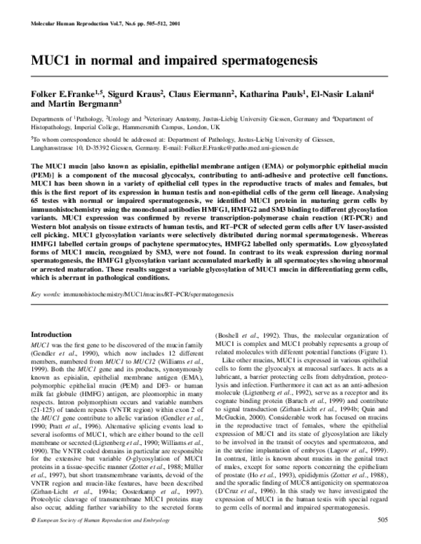 First page of “MUC1 in normal and impaired spermatogenesis”