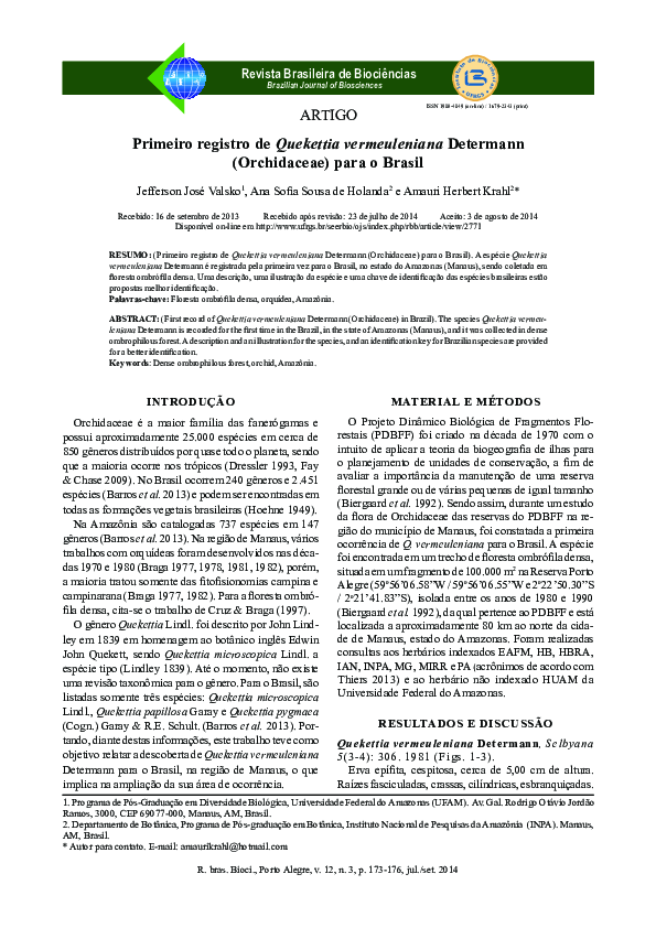 First page of “Primeiro registro de Quekettia vermeuleniana Determann (Orchidaceae) para o Brasil”