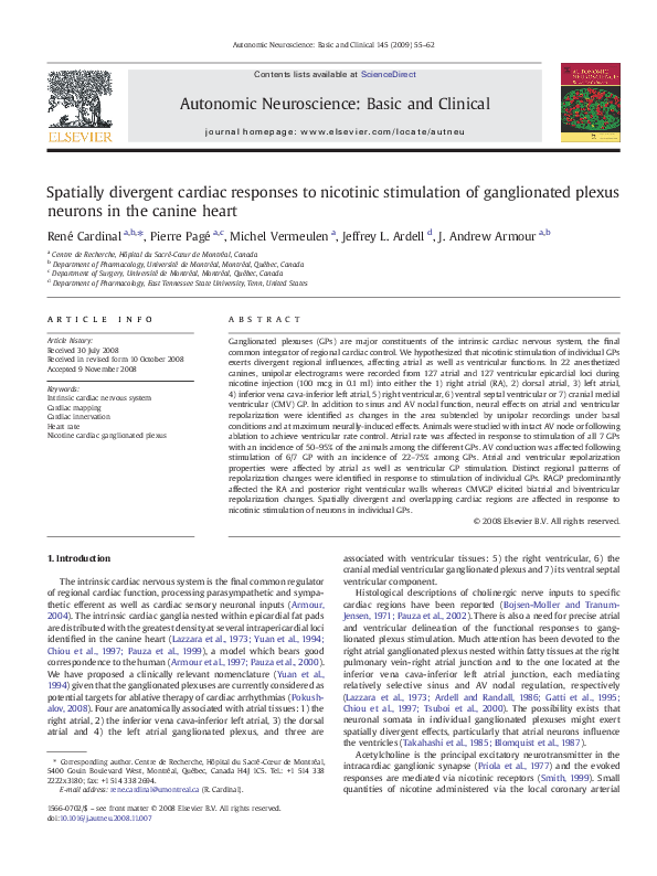 First page of “Spatially divergent cardiac responses to nicotinic stimulation of ganglionated plexus neurons in the canine heart”