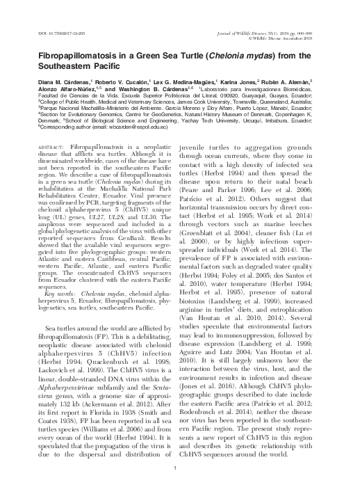 First page of “Fibropapillomatosis in a Green Sea Turtle ( Chelonia mydas) from the Southeastern Pacific”