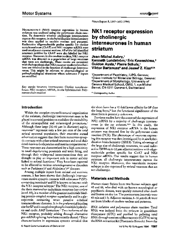 First page of “NK1 receptor expression by cholinergic interneurones in human striatum”