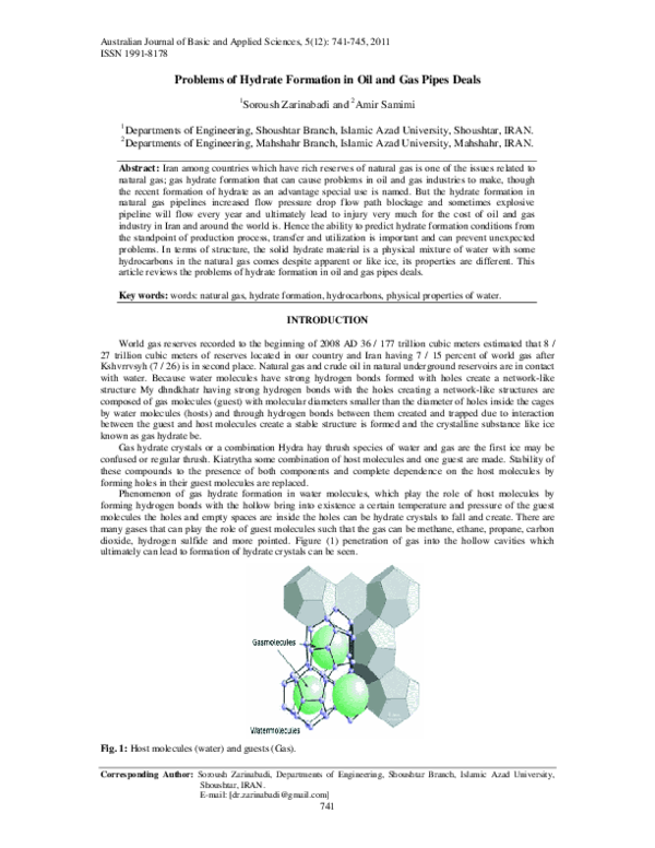 First page of “Problems of Hydrate Formation in Oil and Gas Pipes Deals 1”