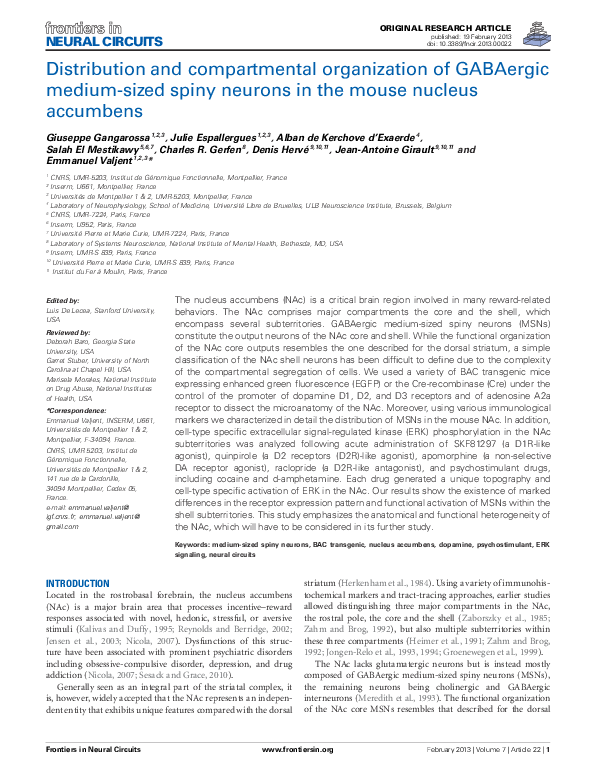 First page of “Distribution and compartmental organization of GABAergic medium-sized spiny neurons in the mouse nucleus accumbens”