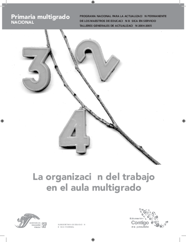 First page of “organizacion trabajo aula multigrado”