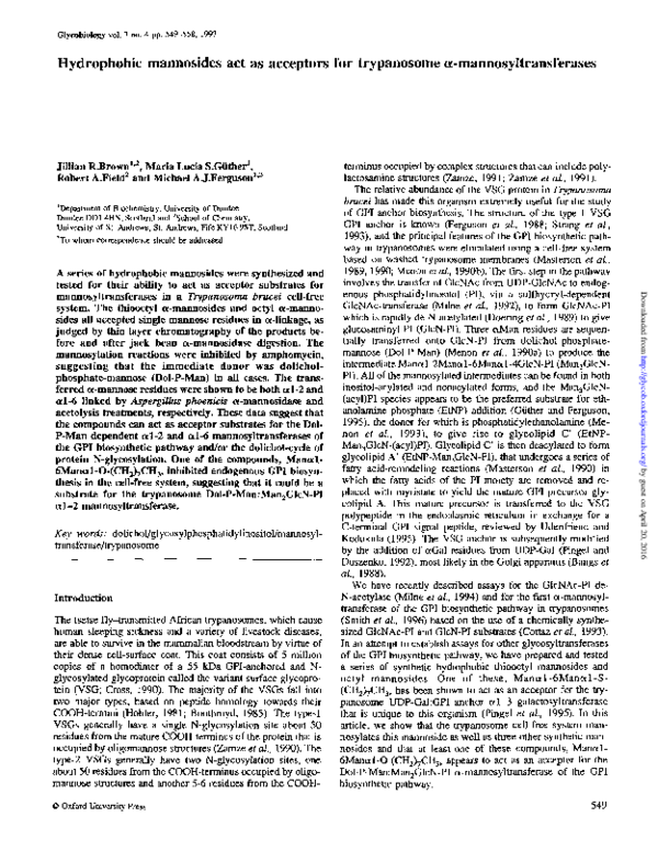 First page of “Hydrophobic mannosides act as acceptors for trypanosome a-mannosyltransferases”