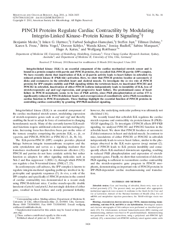 First page of “PINCH Proteins Regulate Cardiac Contractility by Modulating Integrin-Linked Kinase-Protein Kinase B Signaling”